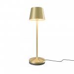 Аккумуляторный светильник Maytoni MOD494RL-L1BSK