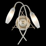 Светильник настенный бра Maytoni MOD501-02-G Modern Modern 7