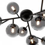 Потолочный светильник Maytoni MOD545CL-12B Dallas