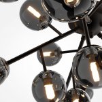 Потолочный светильник Maytoni MOD545CL-20B Dallas