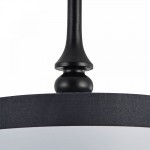 Подвесной светильник Maytoni MOD963-PL-01-B Sailor