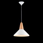 Подвесной светильник Maytoni MOD996-11-W Trottola