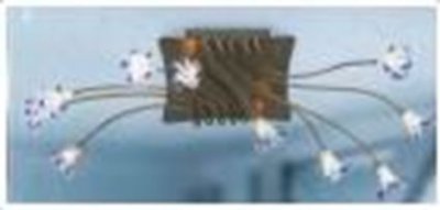 Светильник Lussole MX0163C-10 Светильник Lussole MX0163C-10