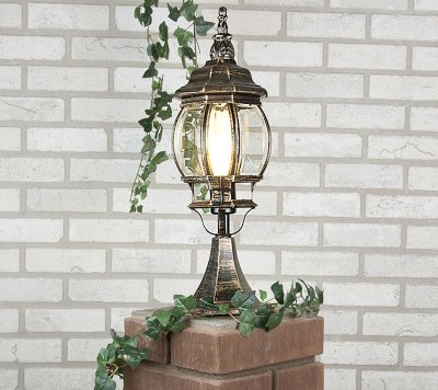 Светильник Elektrostandard NLG9913-D черное золото Светильник Elektrostandard NLG9913-D черное золото