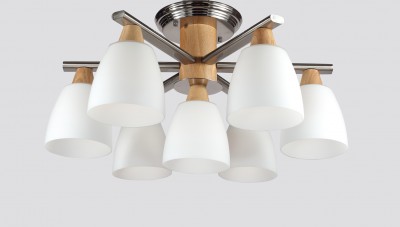 Люстра Lucia Tucci Natura 151.6.1