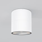 Потолочный светильник Maytoni O310CL-L12W3K Spin