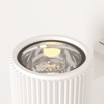 Настенный светильник (бра) Maytoni O419WL-01W Rando