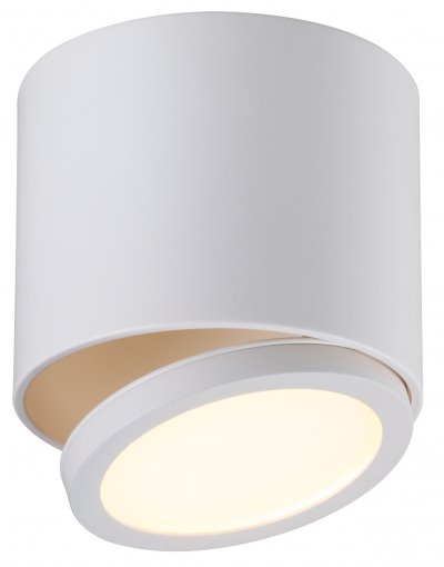 

Светильник спот Omnilux OML-20501-01 Canicatt, OML-20501-01