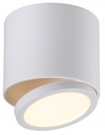 Светильник спот Omnilux OML-20501-01 Canicatt?