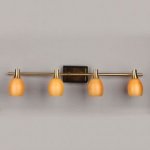 Светильник поворотный спот Omnilux OML-21701-04 Clemence