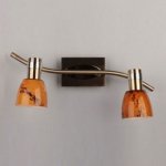 Спот Omnilux OML-22001-02 Malton