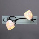 Спот Omnilux OML-22301-02 Marlo