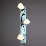 Спот Omnilux OML-22301-03 Marlo