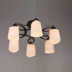 Люстра Omnilux OML-26807-06 Maress