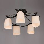 Люстра Omnilux OML-26817-05 Maress