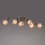 Люстра потолочная Omnilux OML-35127-06 Autunois