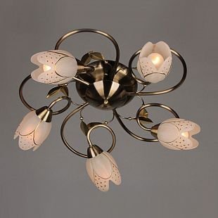 Люстра потолочная Omnilux OML-37907-05 Vallage Люстра потолочная Omnilux OML-37907-05 Vallage