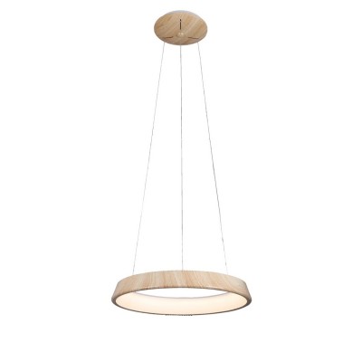 Люстра подвесная Omnilux OML-48603-50 Neoneli