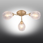 Люстра потолочная Omnilux OML-55507-03 Miglionico