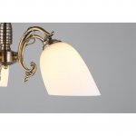 Люстра подвесная Omnilux OML-56407-05 Tellaro