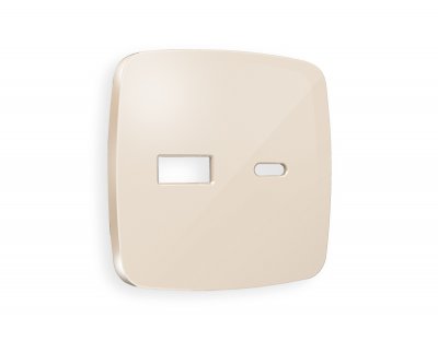 Лицевая панель OMEGA (Бежевый глянец) для розетки 2USB тип A+C QUANT OP3110 Ambrella Volt