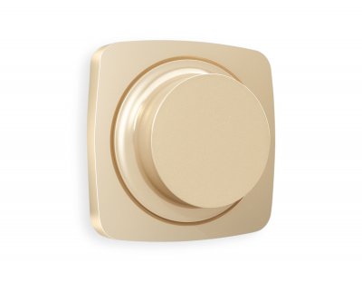 Лицевая панель OMEGA (Шампань) для светорегулятора универсального QUANT OP6055 Ambrella Volt