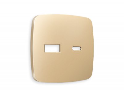 Лицевая панель OMEGA (Шампань) для розетки 2USB тип A+C QUANT OP6110 Ambrella Volt Лицевая панель OMEGA (Шампань) для розетки 2USB тип A+C QUANT OP6110 Ambrella Volt