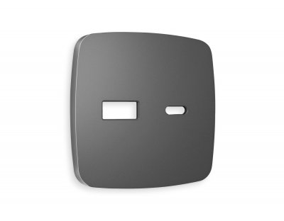 Лицевая панель OMEGA (Антрацит серый) для розетки 2USB тип A+C QUANT OP6610 Ambrella Volt