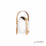 Настольный светильник iLedex Giggle OVS0990-CH 10W белый