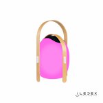 Настольный светильник iLedex Giggle OVS1100-CH 10W белый