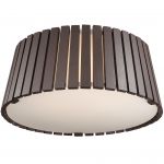 Потолочный светильник Odeon light 2453/3C ALIGO