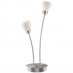 Настольная лампа Odeon light 2469/2T AKRON