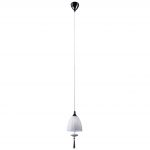 Люстра подвесная Odeon light 2570/1 LIMAN