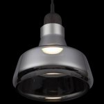 Подвесной светильник Maytoni P015PL-01B Ola