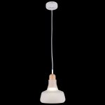 Подвесной светильник Maytoni P015PL-01W Ola