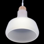 Подвесной светильник Maytoni P015PL-01W Ola