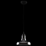 Подвесной светильник Maytoni P016PL-01B Ola