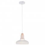 Светильник подвесной Maytoni P016PL-01W