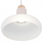 Светильник подвесной Maytoni P016PL-01W