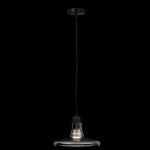 Подвесной светильник Maytoni P017PL-01B Ola