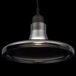 Подвесной светильник Maytoni P017PL-01B Ola