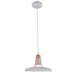 Подвесной светильник Maytoni P017PL-01W Ola