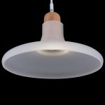 Подвесной светильник Maytoni P017PL-01W Ola