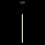 Подвесной светильник Maytoni P021PL-L20B3K Ray