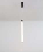 Подвесной светильник Maytoni P022PL-L10B Ray