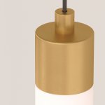 Подвесной светильник Maytoni P022PL-L10MG3K Ray