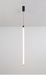 Подвесной светильник Maytoni P022PL-L20B3K Ray