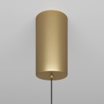 Подвесной светильник Maytoni P022PL-L20G3K Ray