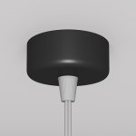 Подвесной светильник Maytoni P038PL-01B Focus Design