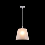 Подвесной светильник Maytoni P528PL-01W Walter Pendant